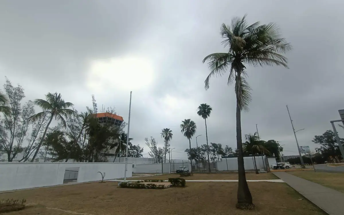 De acuerdo al SMN, la surada traerá para la zona sur de Tamaulipas temperaturas máximas de 30°C Antonio Campos